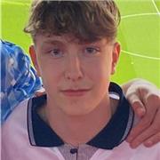 Maths tutor providing lessons to GCSE students and below